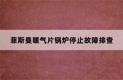 菲斯曼暖气片锅炉停止故障排查