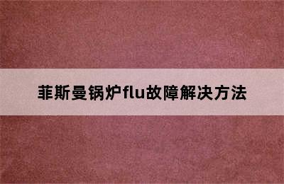 菲斯曼锅炉flu故障解决方法