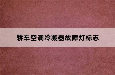 轿车空调冷凝器故障灯标志