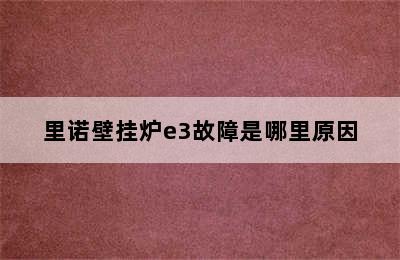 里诺壁挂炉e3故障是哪里原因