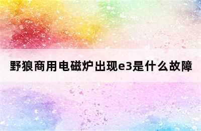 野狼商用电磁炉出现e3是什么故障