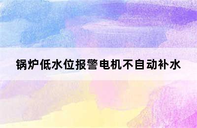 锅炉低水位报警电机不自动补水