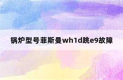 锅炉型号菲斯曼wh1d跳e9故障