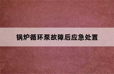 锅炉循环泵故障后应急处置