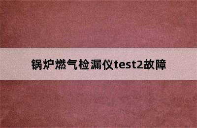 锅炉燃气检漏仪test2故障