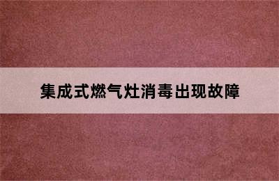 集成式燃气灶消毒出现故障