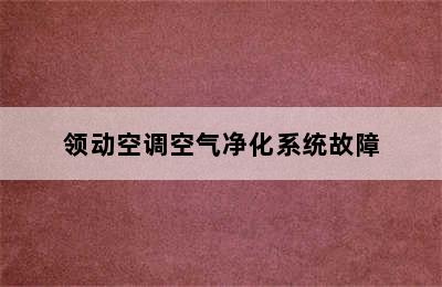 领动空调空气净化系统故障