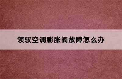 领驭空调膨胀阀故障怎么办